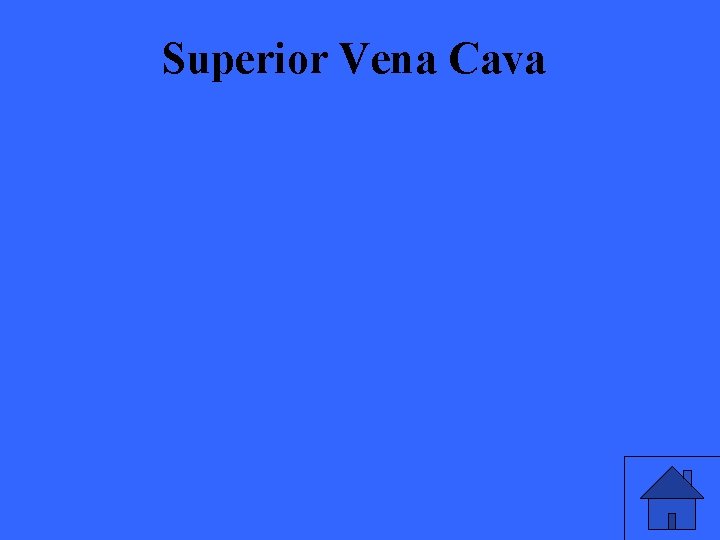 Superior Vena Cava 