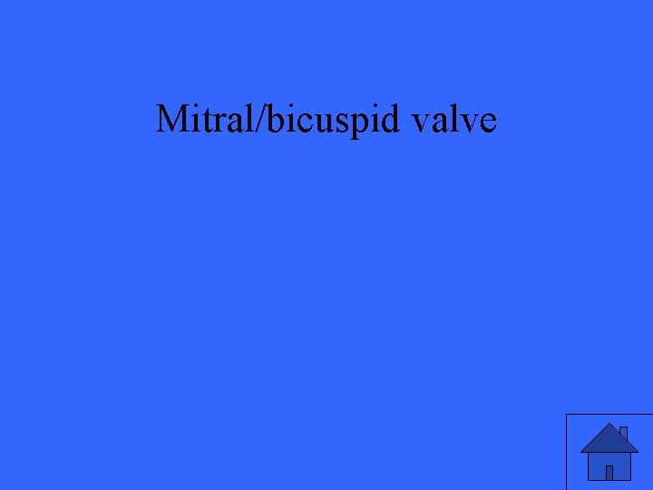 Mitral/bicuspid valve 