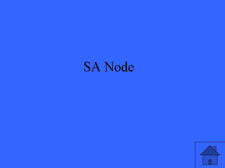 SA Node 