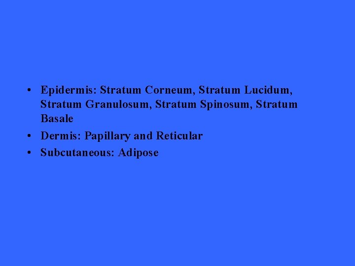  • Epidermis: Stratum Corneum, Stratum Lucidum, Stratum Granulosum, Stratum Spinosum, Stratum Basale •