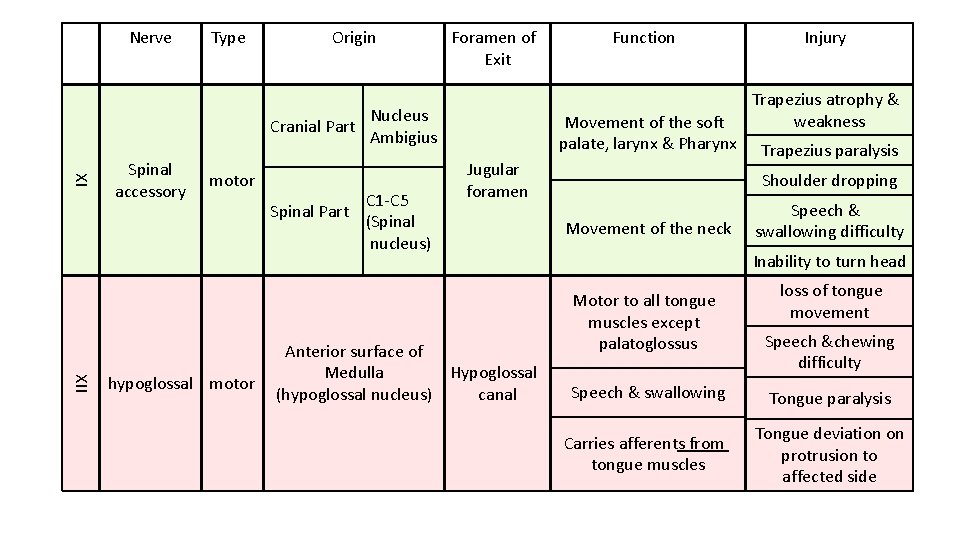 Nerve Type Origin Cranial Part XI Spinal accessory motor XII hypoglossal motor Spinal Part