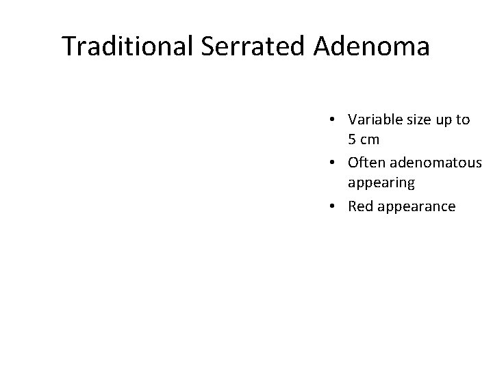 Traditional Serrated Adenoma • Variable size up to 5 cm • Often adenomatous appearing
