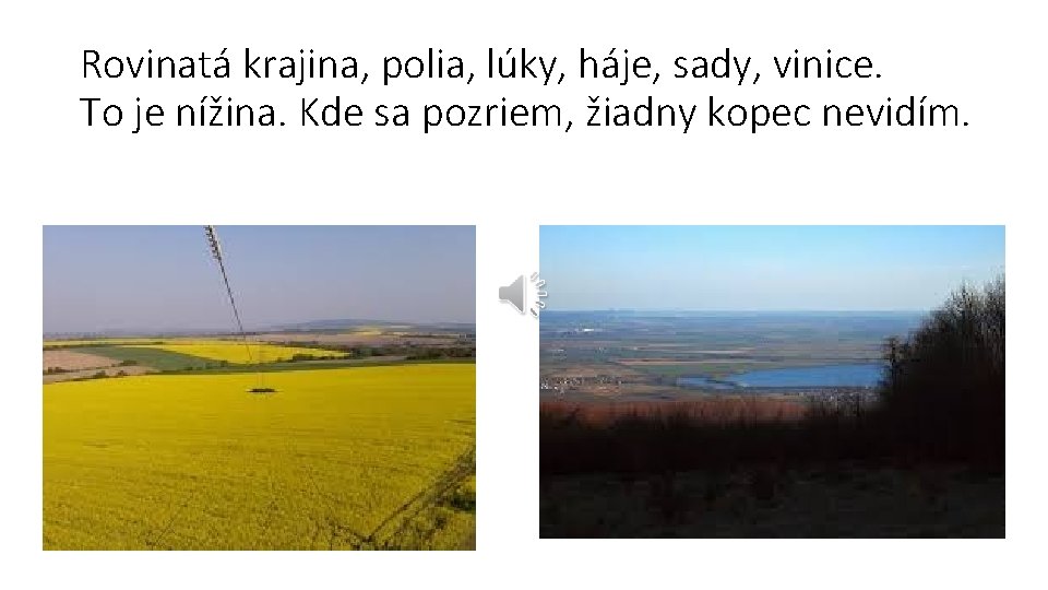 Rovinatá krajina, polia, lúky, háje, sady, vinice. To je nížina. Kde sa pozriem, žiadny