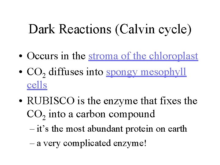 Dark Reactions (Calvin cycle) • Occurs in the stroma of the chloroplast • CO