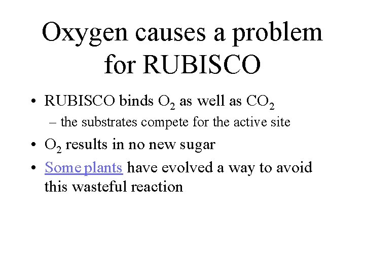 Oxygen causes a problem for RUBISCO • RUBISCO binds O 2 as well as