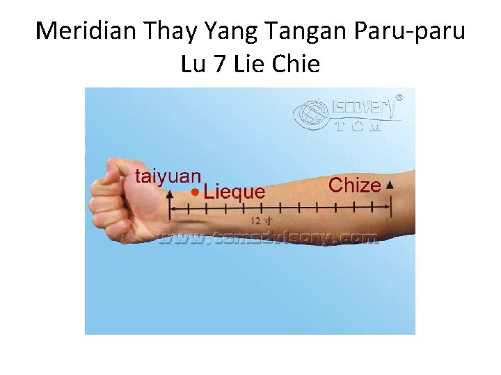 Meridian Thay Yang Tangan Paru-paru Lu 7 Lie Chie 