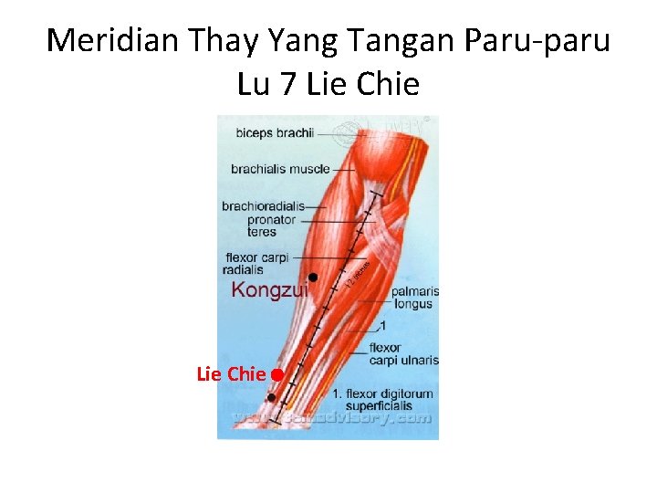 Meridian Thay Yang Tangan Paru-paru Lu 7 Lie Chie 