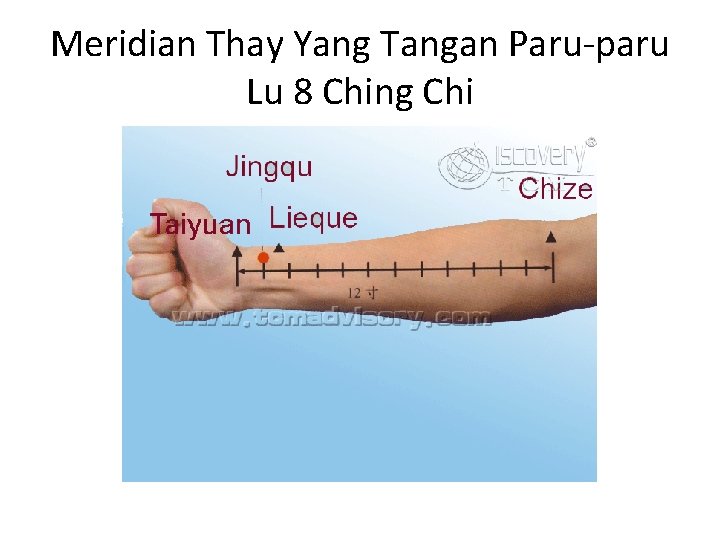 Meridian Thay Yang Tangan Paru-paru Lu 8 Ching Chi 