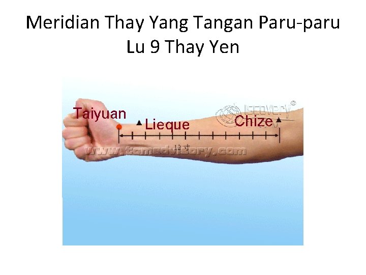 Meridian Thay Yang Tangan Paru-paru Lu 9 Thay Yen 