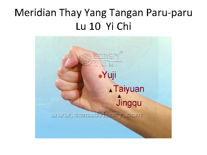 Meridian Thay Yang Tangan Paru-paru Lu 10 Yi Chi 