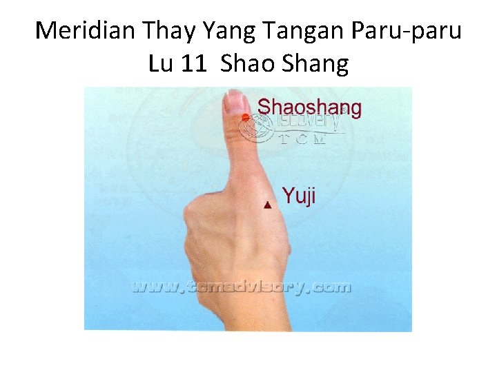 Meridian Thay Yang Tangan Paru-paru Lu 11 Shao Shang 