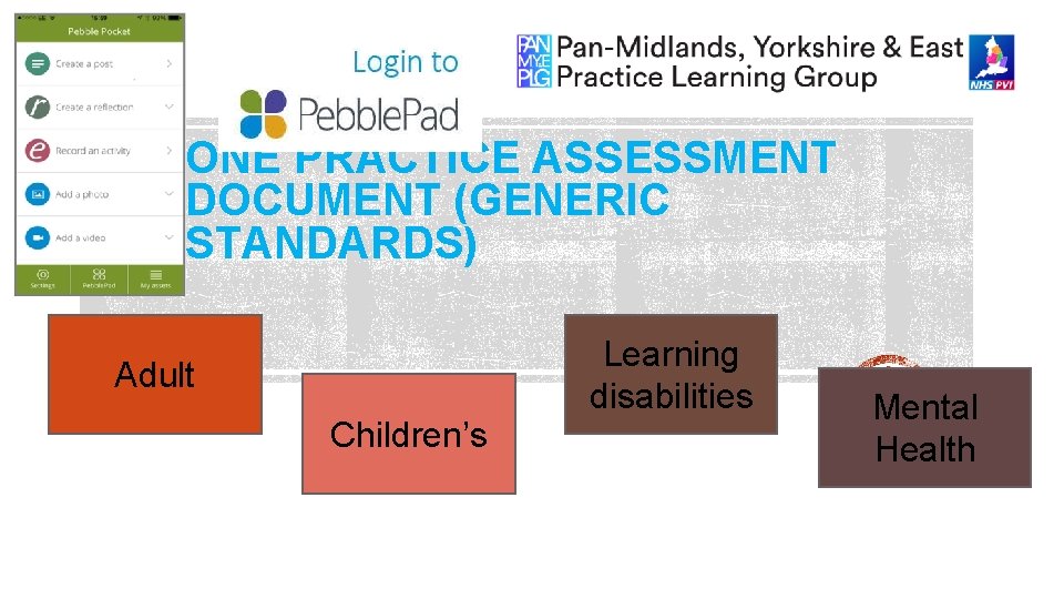 ONE PRACTICE ASSESSMENT DOCUMENT (GENERIC STANDARDS) Adult Children’s Learning disabilities Mental Health 