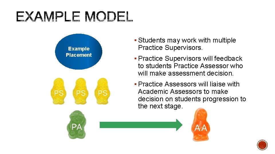 § Students may work with multiple Example Placement Practice Supervisors. § Practice Supervisors will