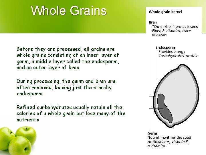 Whole Grains Before they are processed, all grains are whole grains consisting of an