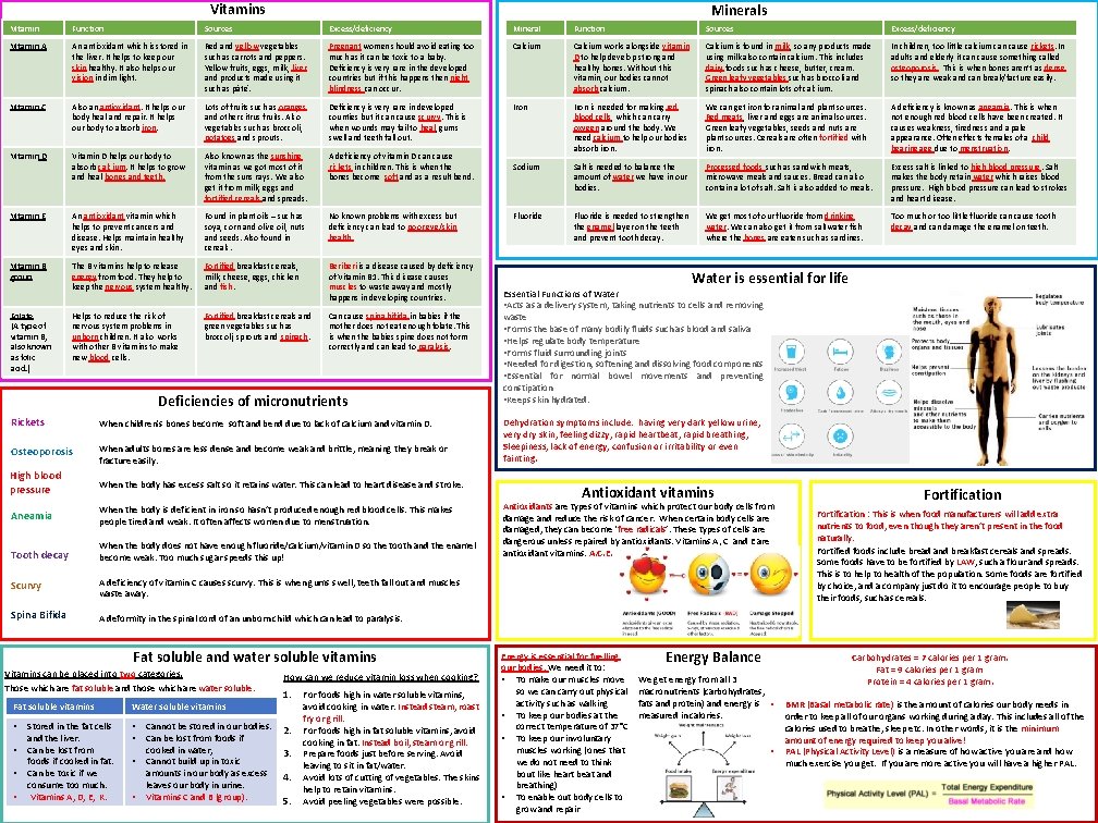 Vitamins Minerals Vitamin Function Sources Excess/deficiency Mineral Function Sources Excess/deficiency Vitamin A An antioxidant