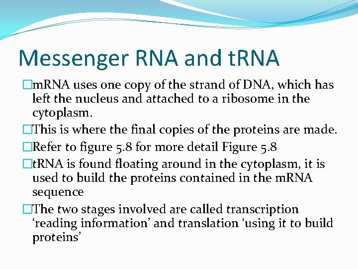 Messenger RNA and t. RNA �m. RNA uses one copy of the strand of