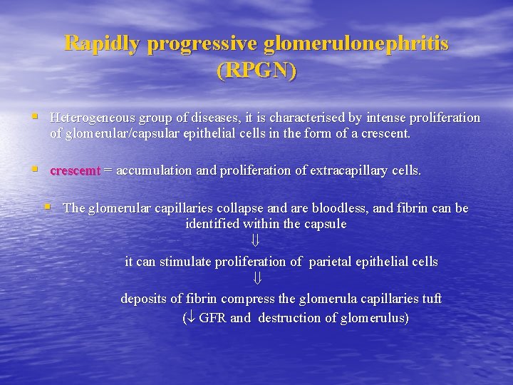 Glomerular Diseases Anatomy of the glomerulus and the