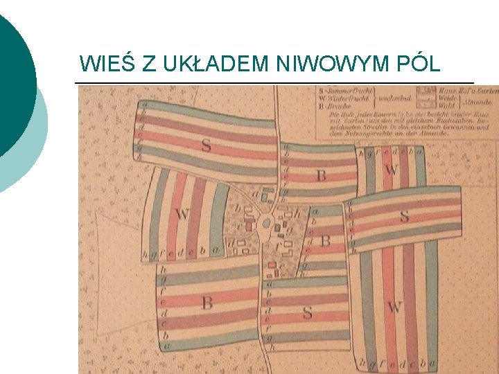 WIEŚ Z UKŁADEM NIWOWYM PÓL 