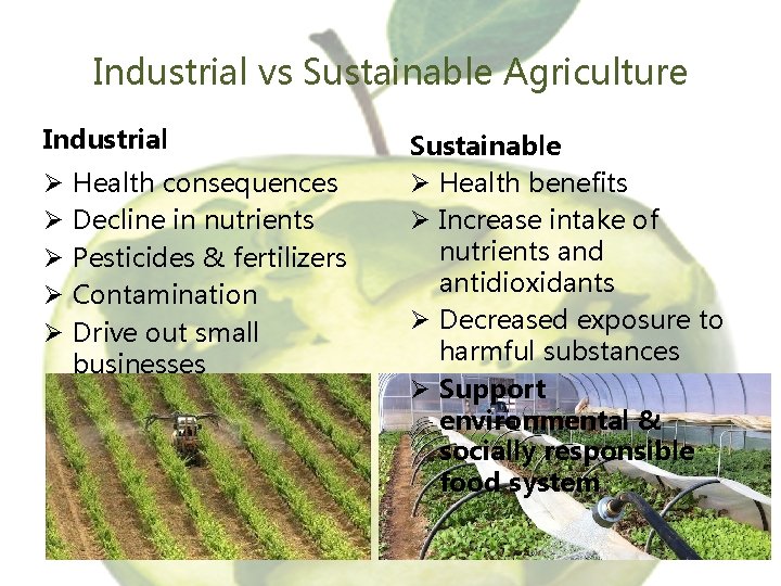 Industrial vs Sustainable Agriculture Industrial Ø Ø Ø Health consequences Decline in nutrients Pesticides