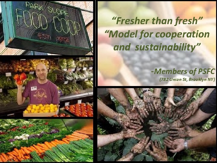 “Fresher than fresh” “Model for cooperation and sustainability” -Members of PSFC (782 Union St,