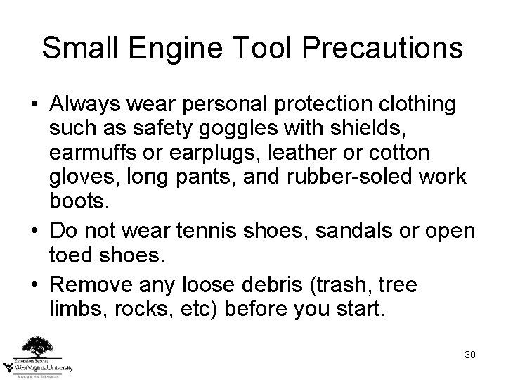 Small Engine Tool Precautions • Always wear personal protection clothing such as safety goggles