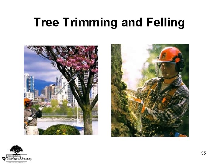 Tree Trimming and Felling 35 