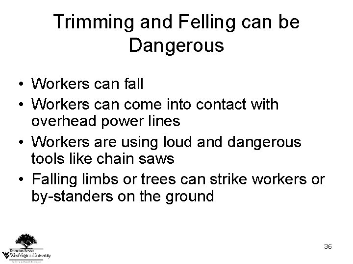 Trimming and Felling can be Dangerous • Workers can fall • Workers can come