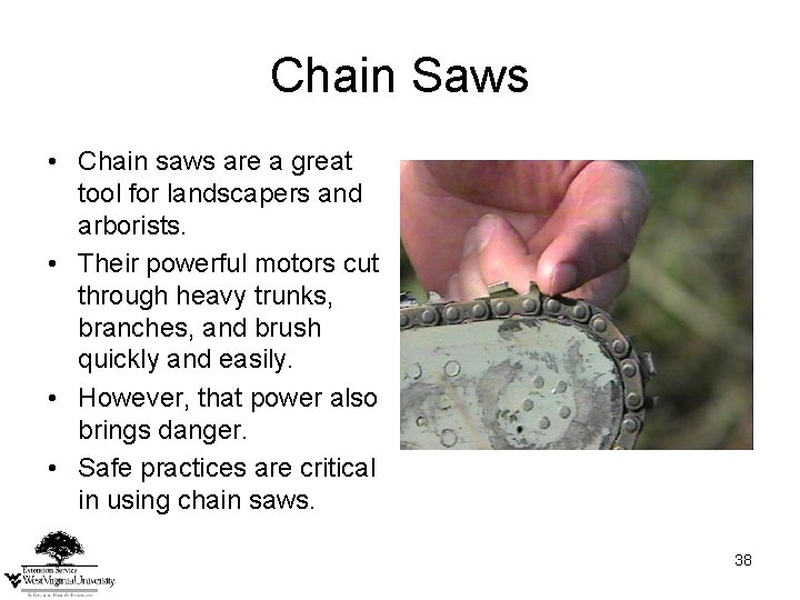 Chain Saws • Chain saws are a great tool for landscapers and arborists. • Chain Saws • Chain saws are a great tool for landscapers and arborists. •