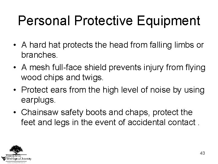 Personal Protective Equipment • A hard hat protects the head from falling limbs or