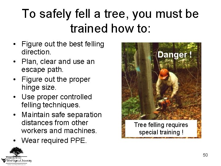 To safely fell a tree, you must be trained how to: • Figure out