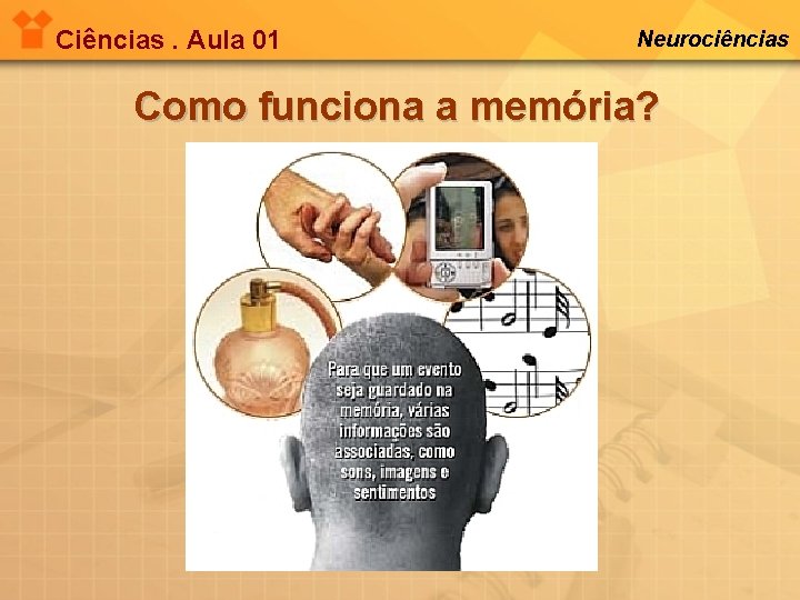 Ciências. Aula 01 Neurociências Como funciona a memória? 