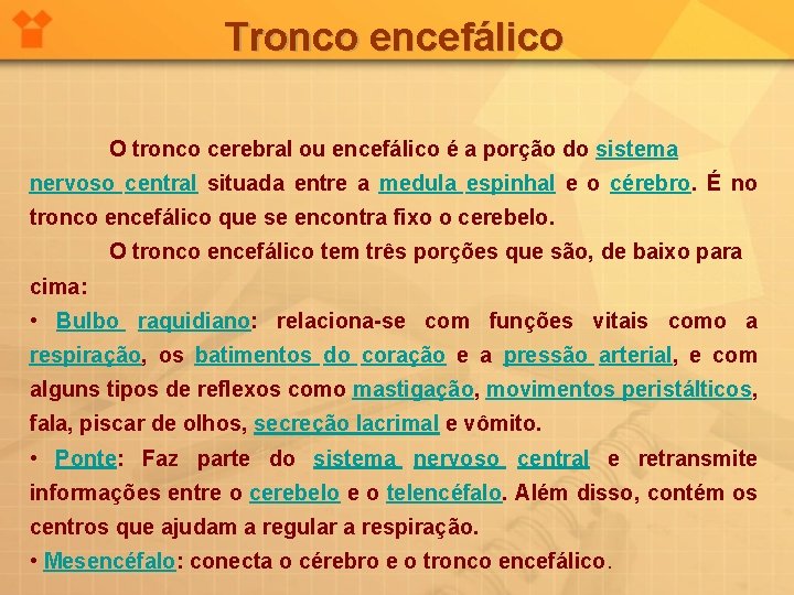 Tronco encefálico O tronco cerebral ou encefálico é a porção do sistema nervoso central