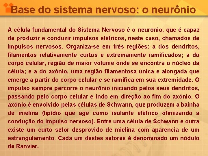 Base do sistema nervoso: o neurônio A célula fundamental do Sistema Nervoso é o