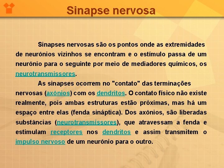 Sinapse nervosa Sinapses nervosas são os pontos onde as extremidades de neurônios vizinhos se