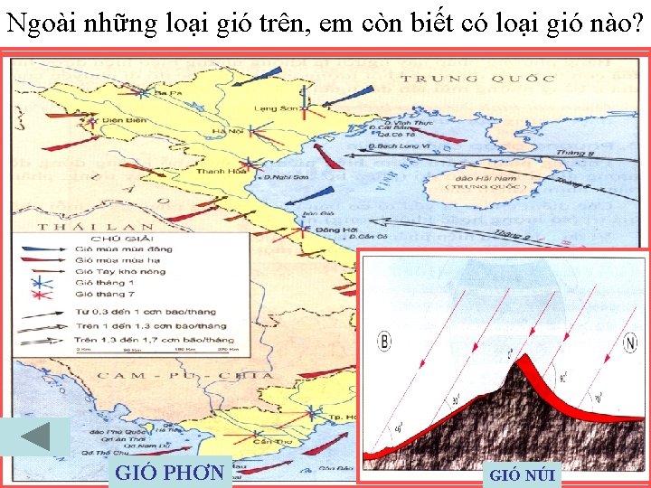 Ngoài những loại gió trên, em còn biết có loại gió nào? GIÓ PHƠN