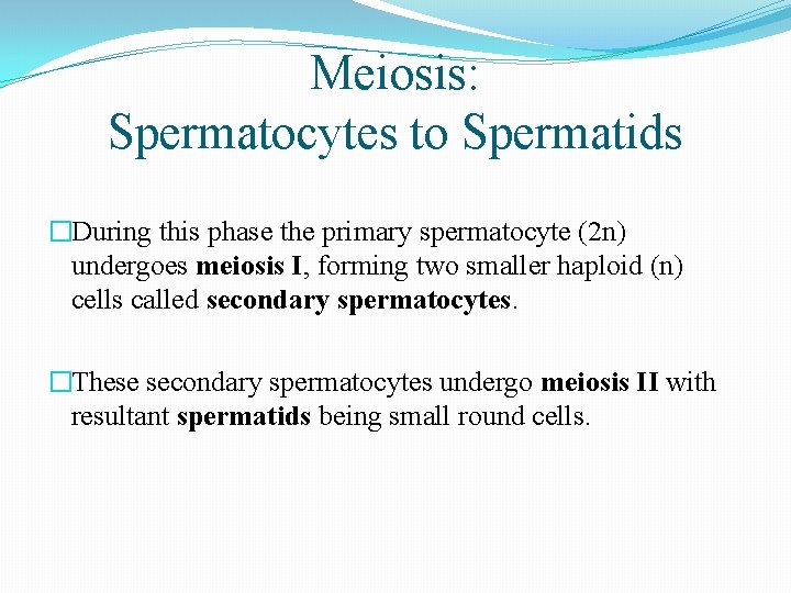 Meiosis: Spermatocytes to Spermatids �During this phase the primary spermatocyte (2 n) undergoes meiosis