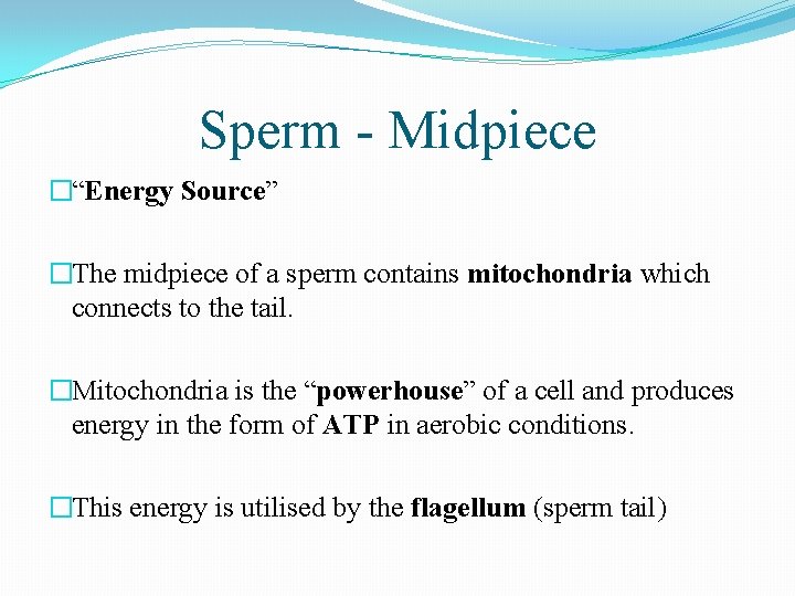 Sperm - Midpiece �“Energy Source” �The midpiece of a sperm contains mitochondria which connects
