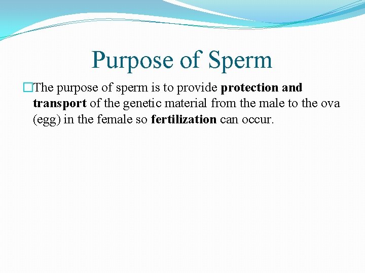 Purpose of Sperm �The purpose of sperm is to provide protection and transport of