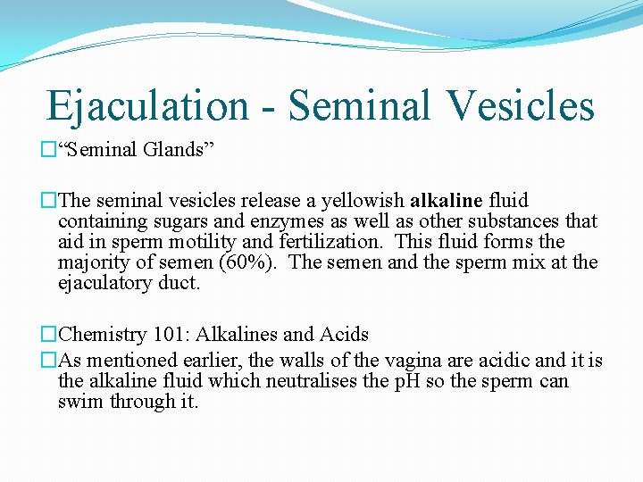 Ejaculation - Seminal Vesicles �“Seminal Glands” �The seminal vesicles release a yellowish alkaline fluid