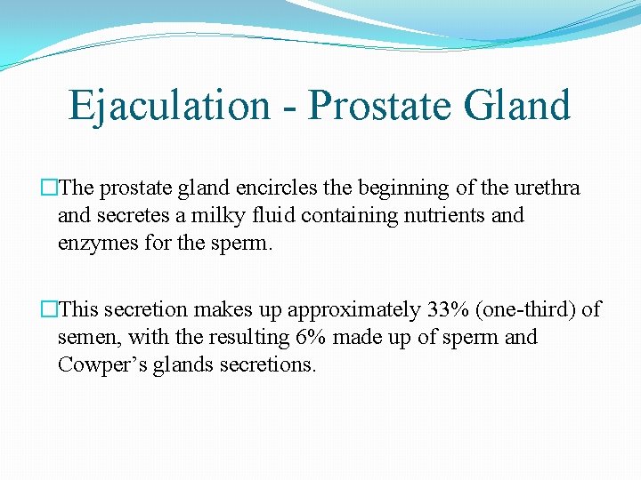 Ejaculation - Prostate Gland �The prostate gland encircles the beginning of the urethra and