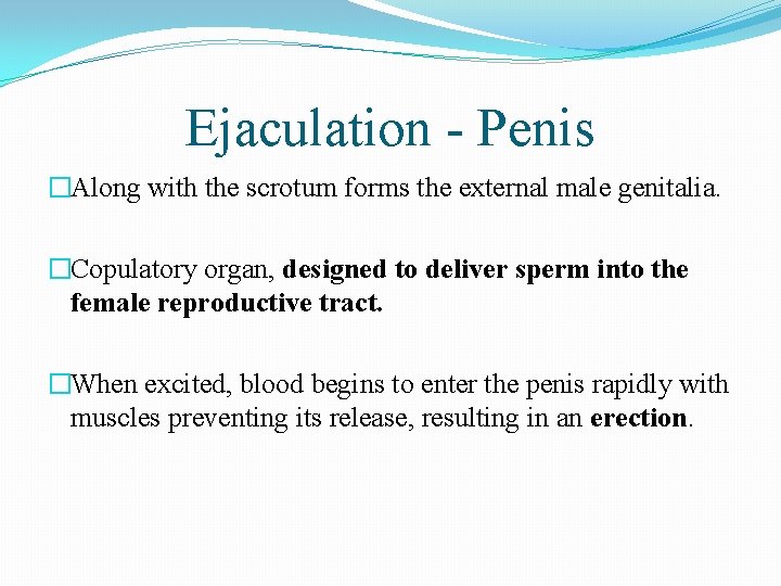 Ejaculation - Penis �Along with the scrotum forms the external male genitalia. �Copulatory organ,