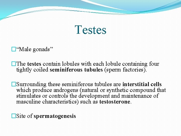 Testes �“Male gonads” �The testes contain lobules with each lobule containing four tightly coiled