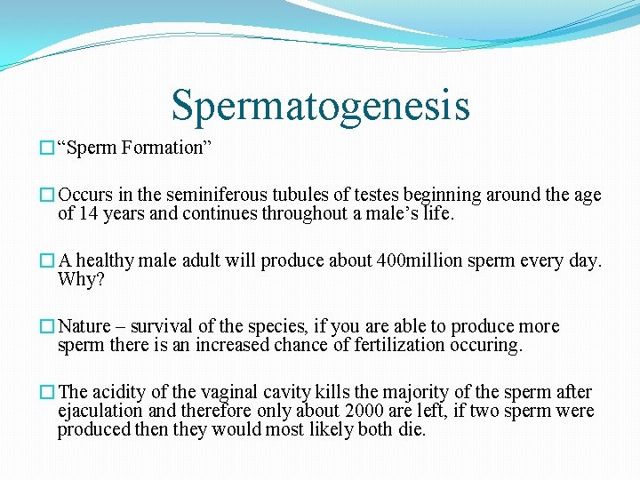 Spermatogenesis �“Sperm Formation” �Occurs in the seminiferous tubules of testes beginning around the age