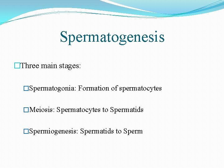 Spermatogenesis �Three main stages: �Spermatogonia: Formation of spermatocytes �Meiosis: Spermatocytes to Spermatids �Spermiogenesis: Spermatids