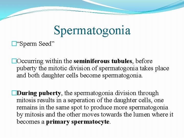 Spermatogonia �“Sperm Seed” �Occurring within the seminiferous tubules, before puberty the mitotic division of