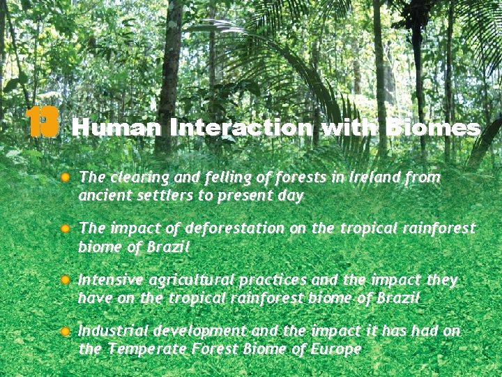 13 Human Interaction with Biomes The clearing and felling of forests in Ireland from