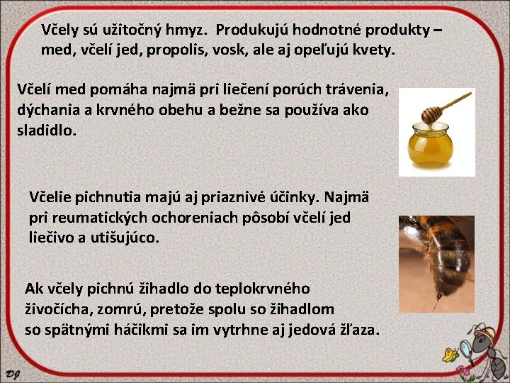 Včely sú užitočný hmyz. Produkujú hodnotné produkty – med, včelí jed, propolis, vosk, ale