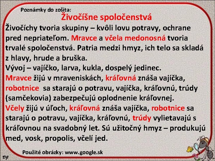 Poznámky do zošita: Živočíšne spoločenstvá Živočíchy tvoria skupiny – kvôli lovu potravy, ochrane pred