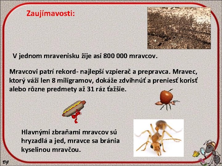 Zaujímavosti: V jednom mravenisku žije asi 800 000 mravcov. Mravcovi patrí rekord- najlepší vzpierač