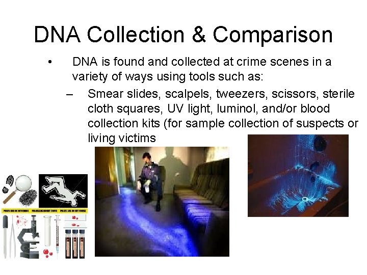 DNA Collection & Comparison • DNA is found and collected at crime scenes in